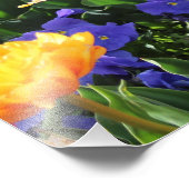 Impression Photo Falln Sunset Floral River (Coin)