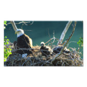 Impression Photo Famille BEF Bald Eagle (Devant)