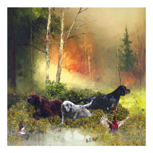 Impression Photo Famille Setters