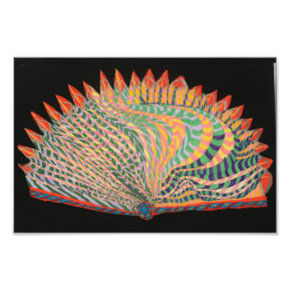 Impression Photo Fan II de Ryan