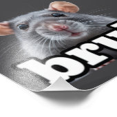 Impression Photo Fancy Rat Rodent Owner Meme Bruh Pet Rat Lover  (Coin)