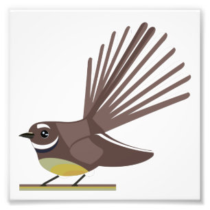 Impression Photo Fantail piwakawaka NZ BIRD