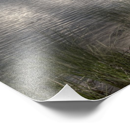 Impression Photo Fantôme vert (Coin)