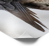 Impression Photo Faucons pèlerins perchés (Coin)