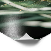 Impression Photo Female Keeled Skimmer Dragonfly (Coin)