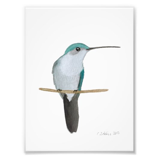 Impression Photo Femelle de colibri à gorge rubis (Devant)