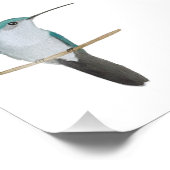 Impression Photo Femelle de colibri à gorge rubis (Coin)