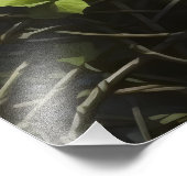 Impression Photo Femme de lierre (Coin)