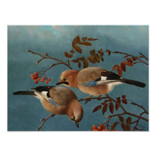 Impression Photo Ferdinand von Wright - Jays