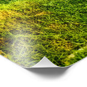 Impression Photo Ferme de champ de riz vert (Coin)