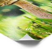 Impression Photo Fermer avec ce Cool Shroom Nature Photography (Coin)