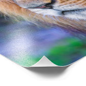 Impression Photo Fermer Lion (Coin)