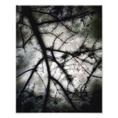 Impression Photo Fermeture (Devant)