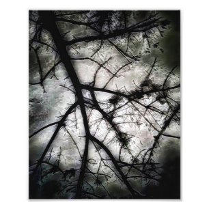 Impression Photo Fermeture