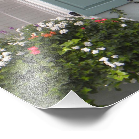 Impression Photo Fermetures de Seagreen (Coin)