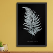Impression Photo Fern - Gymnogramma Ochracea - Effet rayons X - 02