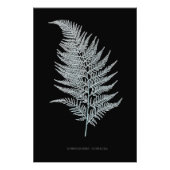 Impression Photo Fern - Gymnogramma Ochracea - Effet rayons X - 02 (Devant)
