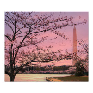 Impression Photo Festival Cherry Blossom du Monument de Washington