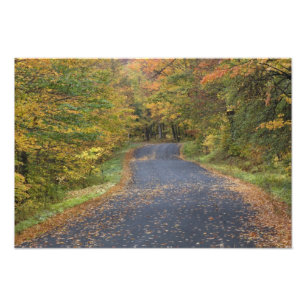 Impression Photo Feuillage d'automne au bord de la route, Vermont d