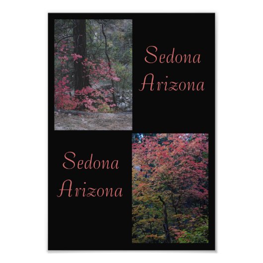 Impression Photo Feuillage d'automne Sedona, Arizona (Devant)