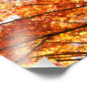 Impression Photo Feuillage de l'érable (Coin)