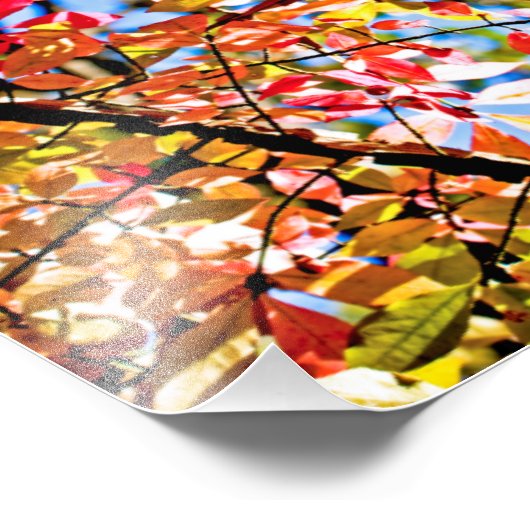 Impression Photo Feuille (Coin)