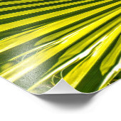 Impression Photo Feuille 0749-Palm (Coin)