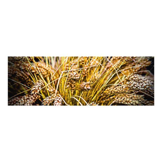 Impression Photo Feuille De Blé - Merci (Devant)