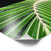 Impression Photo Feuille de palme verte Abstraite (Coin)