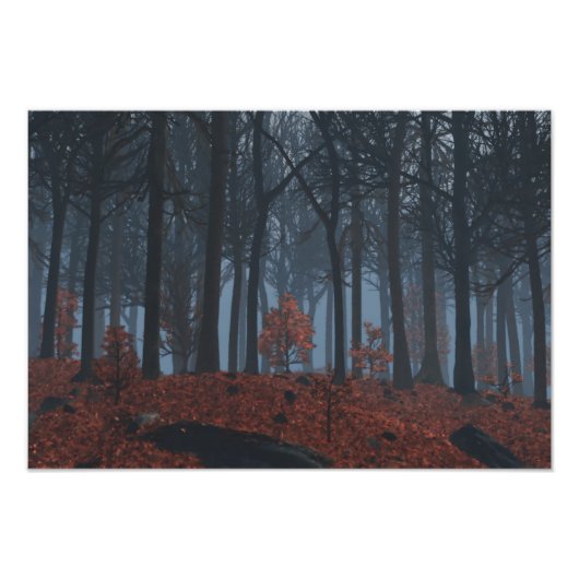 Impression photo Feuille d'hiver (Devant)