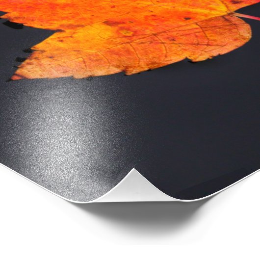 Impression Photo Feuille d'or de l'automne (Coin)