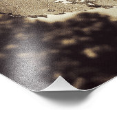 Impression Photo Feuille en décomposition (Coin)