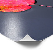 Impression Photo Feuille rouge sur le côté (Coin)