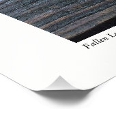 Impression Photo Feuille tombée (Coin)