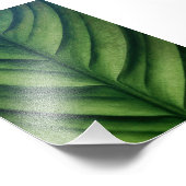 Impression Photo Feuille verte aquarelle (Coin)