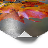 Impression Photo Feuilles d'automne (Coin)