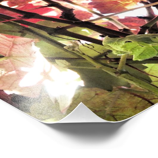 IMPRESSION PHOTO FEUILLES D'AUTOMNE (Coin)