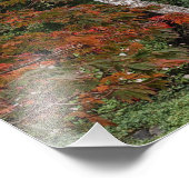 Impression Photo Feuilles d'automne colorées (Coin)