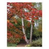 Impression Photo Feuilles d'automne colorées (Devant)