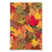 Impression Photo Feuilles d'automne colorées (Devant)