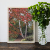 Impression Photo Feuilles d'automne colorées