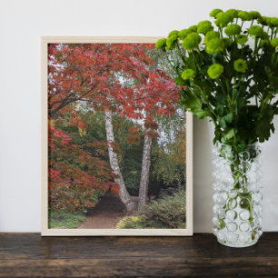 Impression Photo Feuilles d'automne colorées