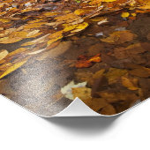 Impression Photo Feuilles d'automne le long de Looking Glass Creek (Coin)