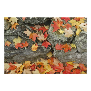 Impression Photo Feuilles d'automne sur mur de pierre, Minute Man