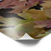 Impression Photo feuilles d'automne tout autour (Coin)