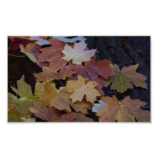 Impression Photo feuilles d'automne tout autour (Devant)