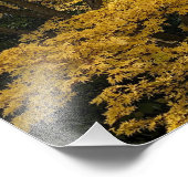 Impression Photo Feuilles de Maple Japonais Jaune Doré Botanique (Coin)