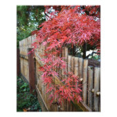 Impression Photo Feuilles d'érable japonais d'automne et clôture de (Devant)