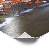 Impression Photo Feuilles d'érable rouge tapissent les rochers dans (Coin)