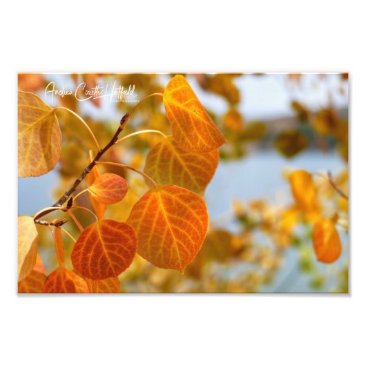 Impression Photo Feuilles en orange (Devant)